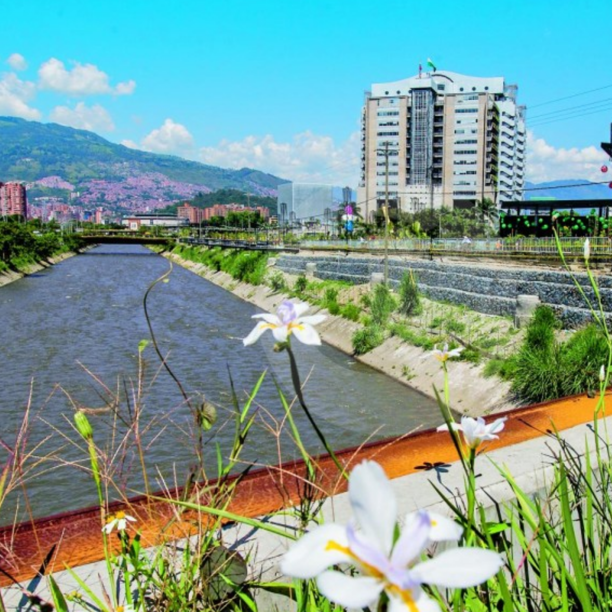 Medellín